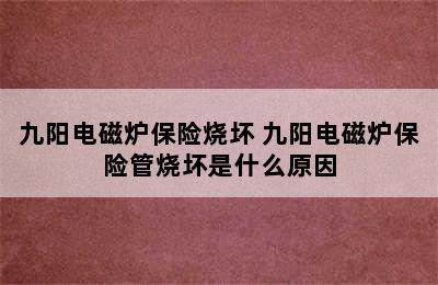 九阳电磁炉保险烧坏 九阳电磁炉保险管烧坏是什么原因